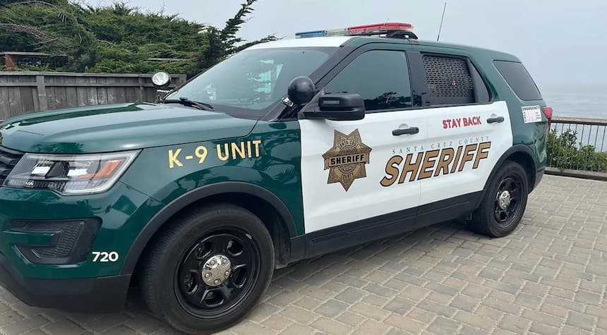 Five-Year-Old Boy Stabs and Kills His Twin Brother During Fight