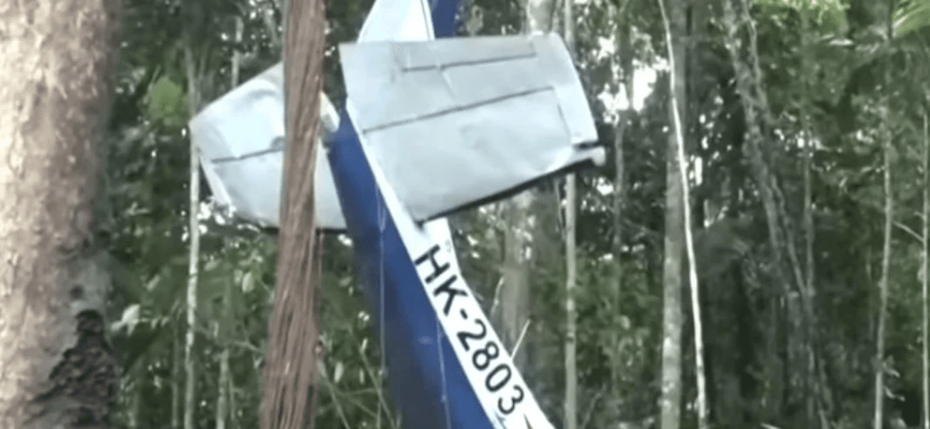 4 Young Kids Survive 40 Days Alone In Colombian Jungle After First Surviving Fatal Plane Crash