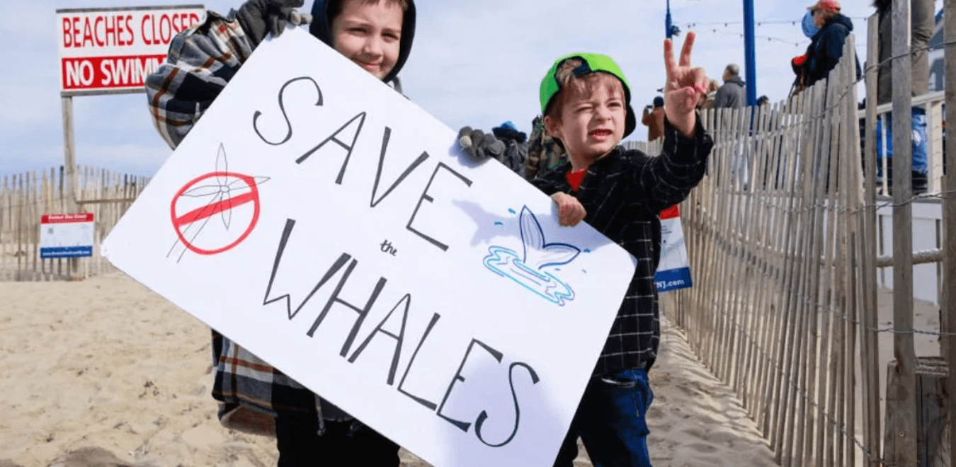 Spike In Whale Deaths And Mounting Public Pressure Push Gov't Watchdog To Launch Investigation Into Impacts Of Offshore Wind Farms