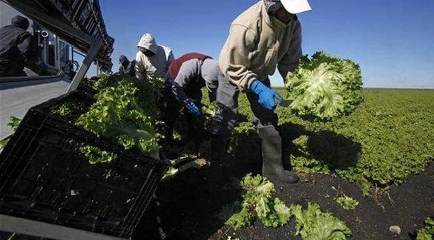 Florida's Ruthless Crackdown on Illegal Alien Profiteers Sends Shockwaves through the Nation